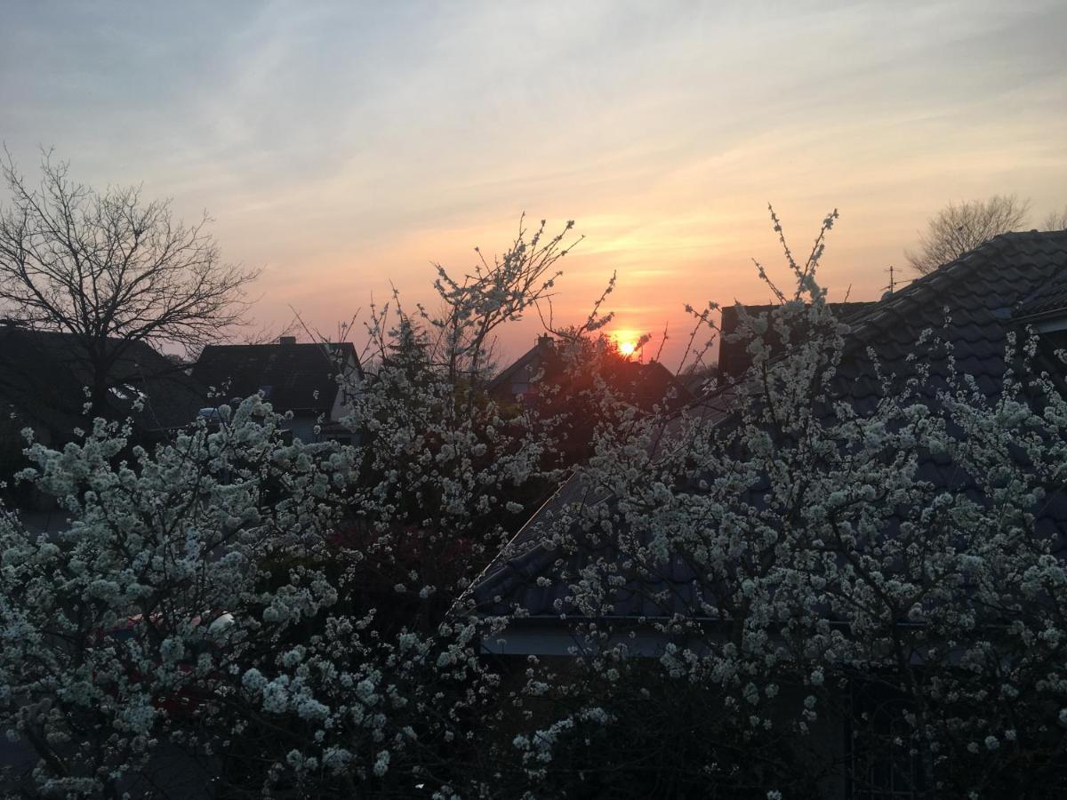 Spechtstrasse 65 Ferienwohnung ノルトホルン エクステリア 写真